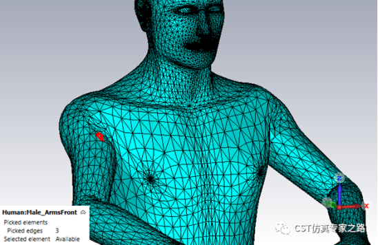cst软件如何将均匀人体空心2d模型填充3d