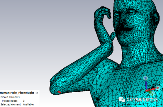 cst软件如何将均匀人体空心2d模型填充3d