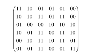 随机编码序列数组